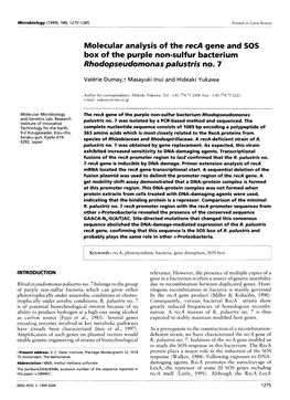 Molecular Analysis of the Reca Gene and SOS Box of the Purple Non-Sulfur Bacterium Rhodopseudomonas Palustris No