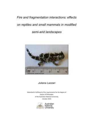 Fire and Fragmentation Interactions: Effects on Reptiles and Small Mammals in Modified Semi-Arid Landscapes