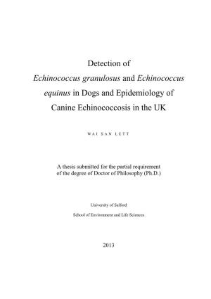 Detection of Echinococcus Granulosus and Echinococcus Equinus in Dogs and Epidemiology of Canine Echinococcosis in the UK