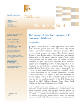 Middle East Brief 45