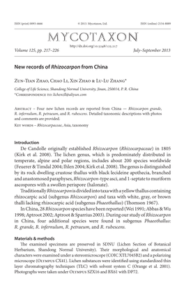 New Records of &lt;I&gt;Rhizocarpon&lt;/I&gt;