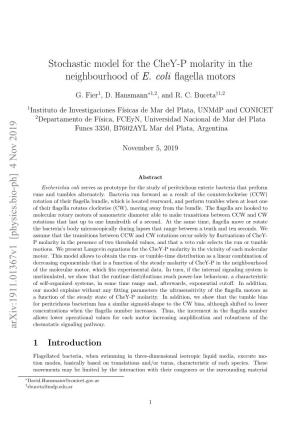 Stochastic Model for the Chey-P Molarity in the Neighbourhood of E