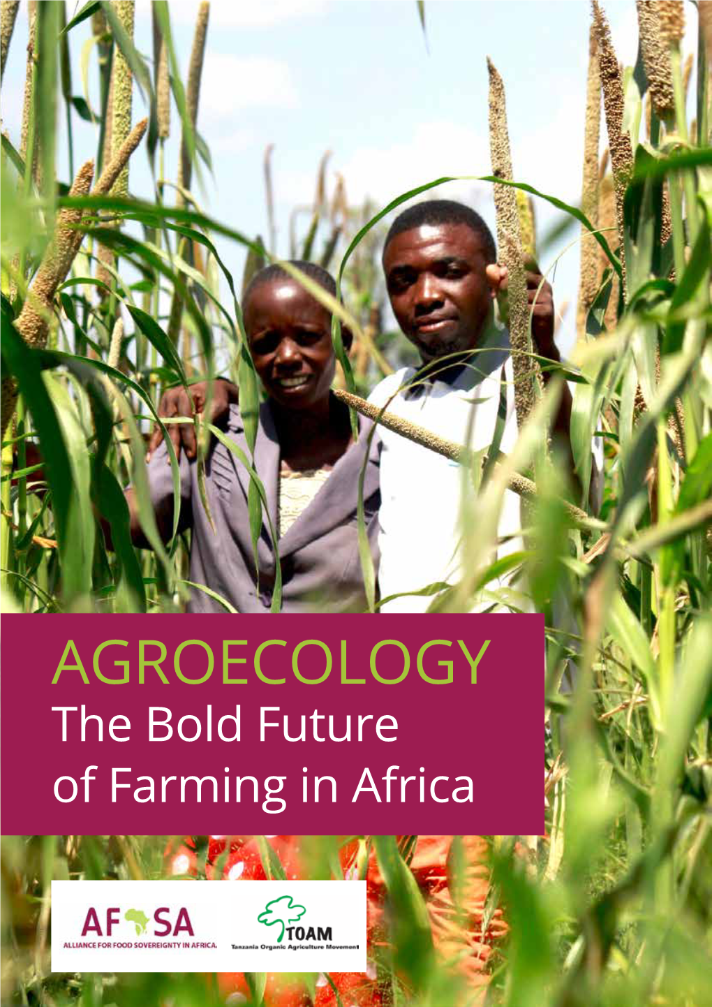 AGROECOLOGY: the Bold Future of Farming in Africa