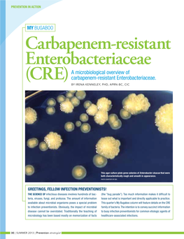 Carbapenem-Resistant Enterobacteriaceae a Microbiological Overview of (CRE) Carbapenem-Resistant Enterobacteriaceae