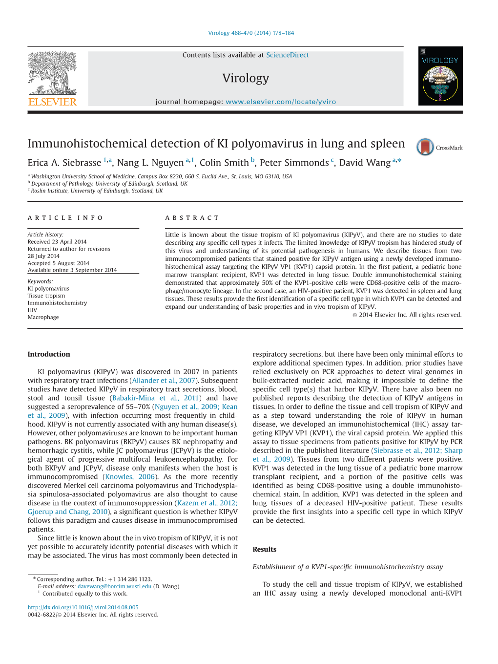 Immunohistochemical Detection of KI Polyomavirus in Lung and Spleen