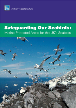 Marine Protected Areas for the UK's Seabirds