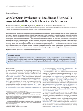 Angular Gyrus Involvement at Encoding and Retrieval Is Associated with Durable but Less Specific Memories