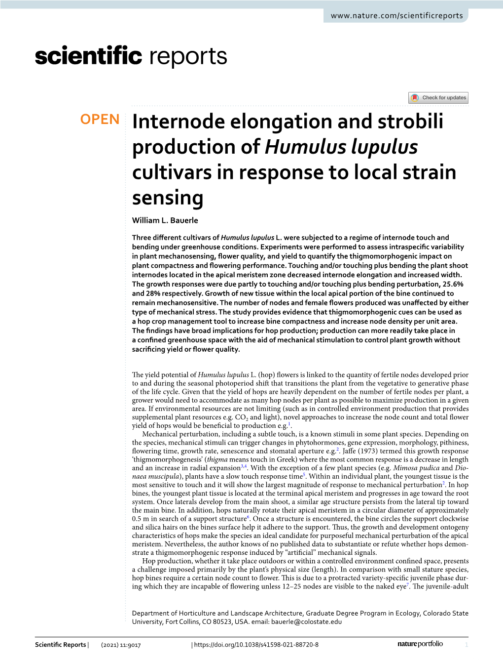 Internode Elongation and Strobili Production of Humulus Lupulus Cultivars in Response to Local Strain Sensing William L