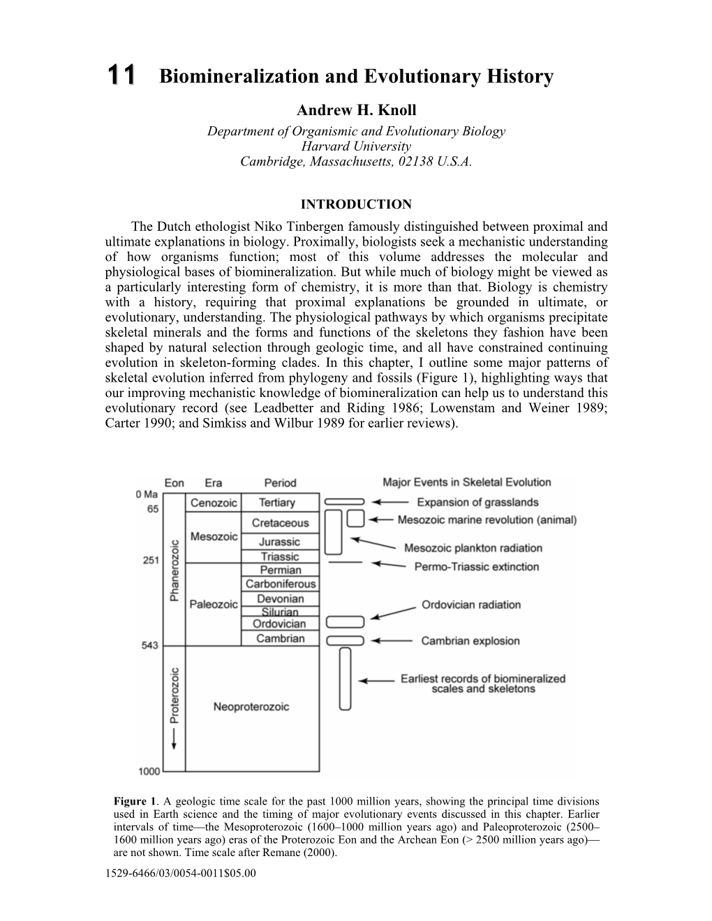 Biomineralization and Evolutionary History Andrew H