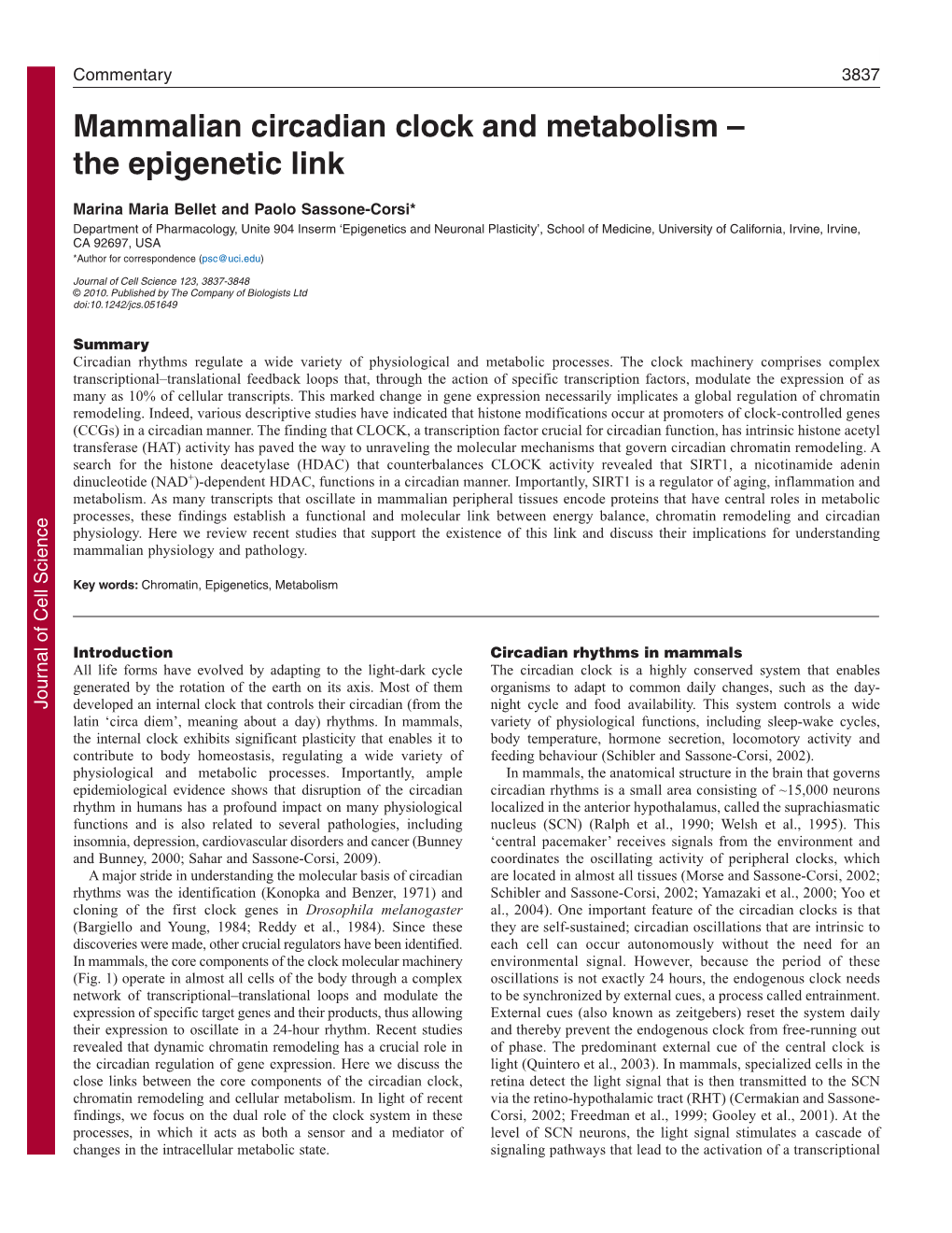 Mammalian Circadian Clock and Metabolism – the Epigenetic Link