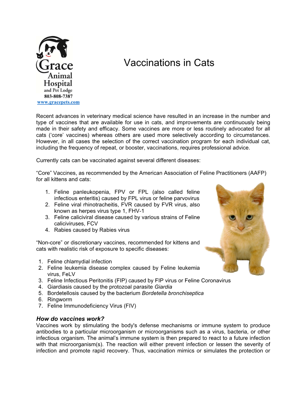 Vaccinations in Cats