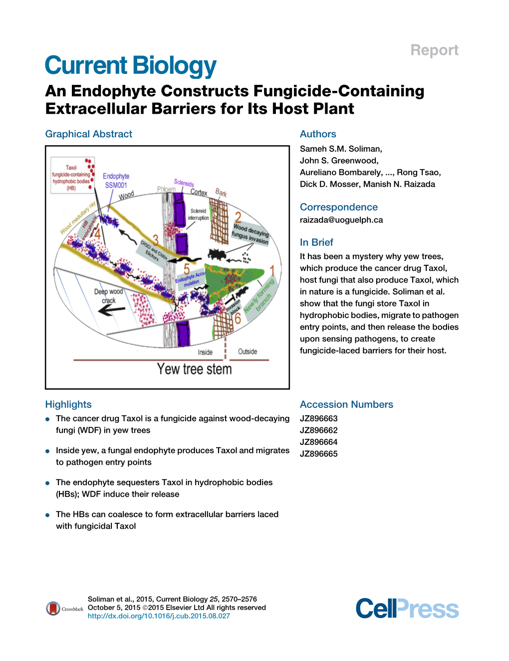 An Endophyte Constructs Fungicide-Containing Extracellular Barriers for Its Host Plant