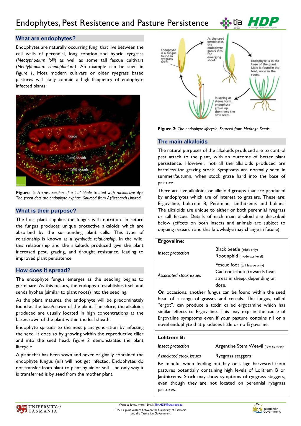 Endophytes, Pest Resistence and Pasture Persistence