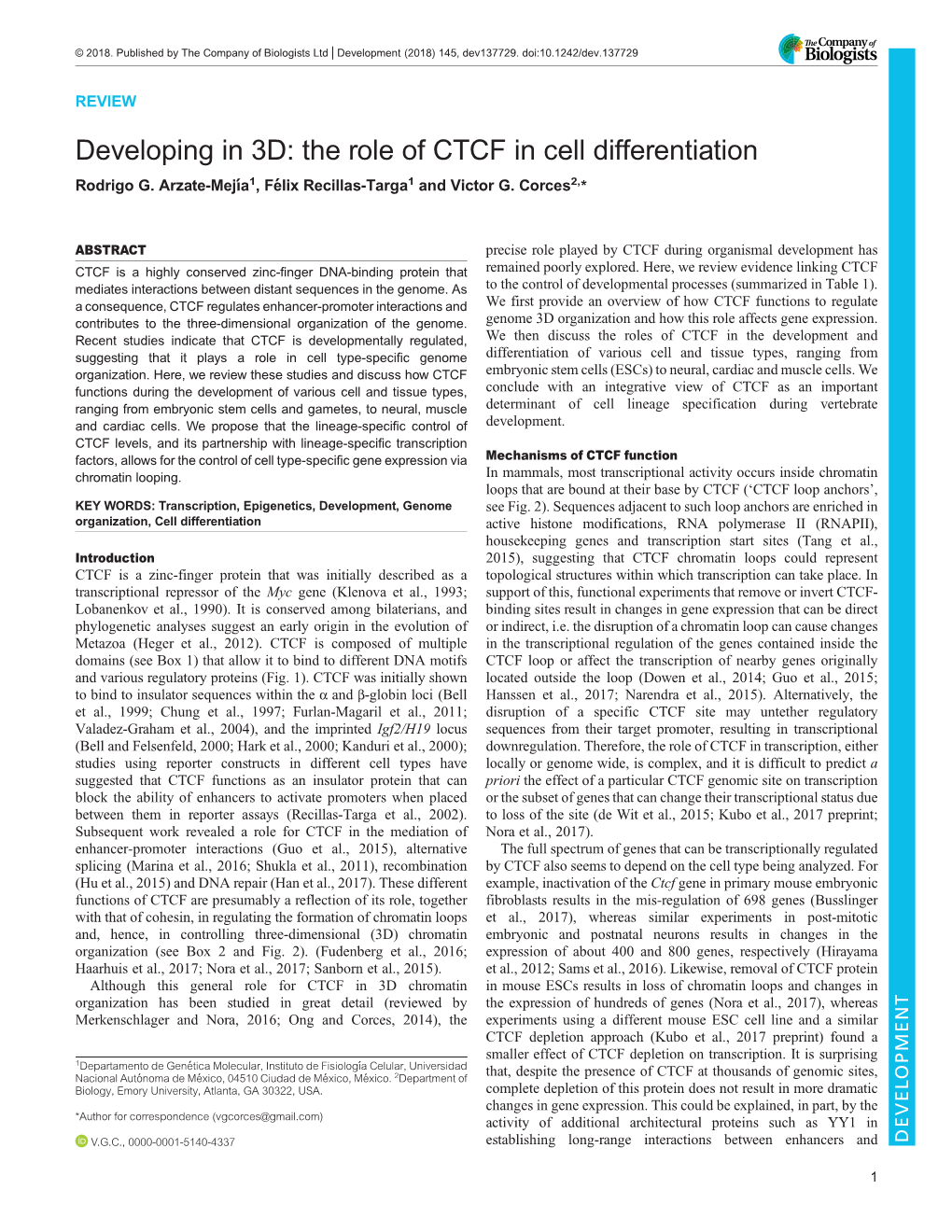 The Role of CTCF in Cell Differentiation Rodrigo G