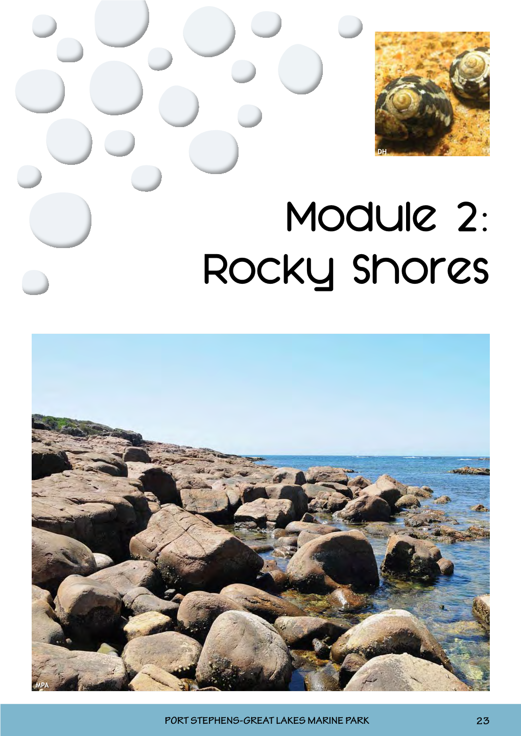 Module 2: Rocky Shores