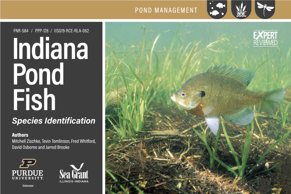 Indiana Pond Fish Species Identification