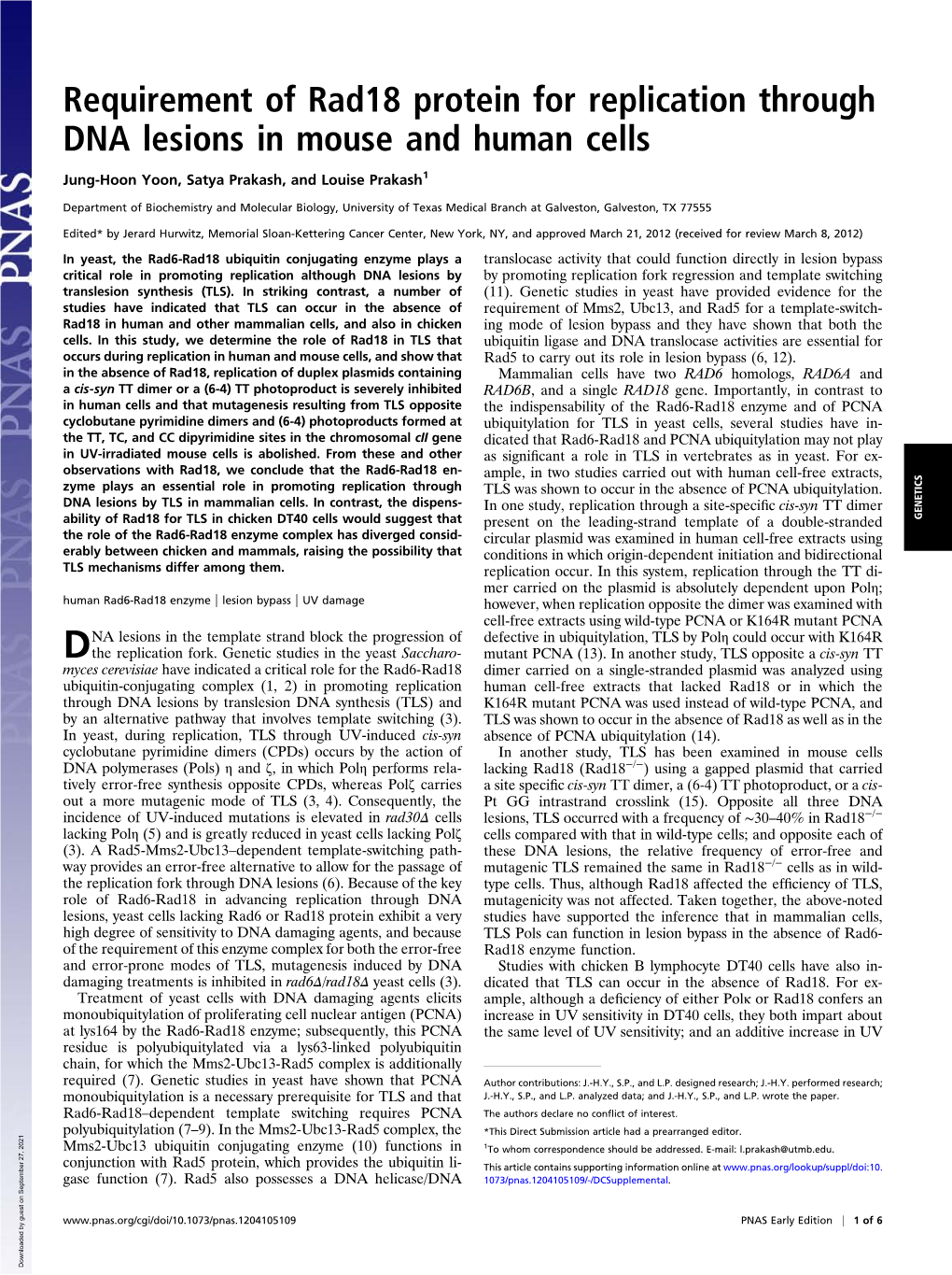 Requirement of Rad18 Protein for Replication Through DNA Lesions in Mouse and Human Cells