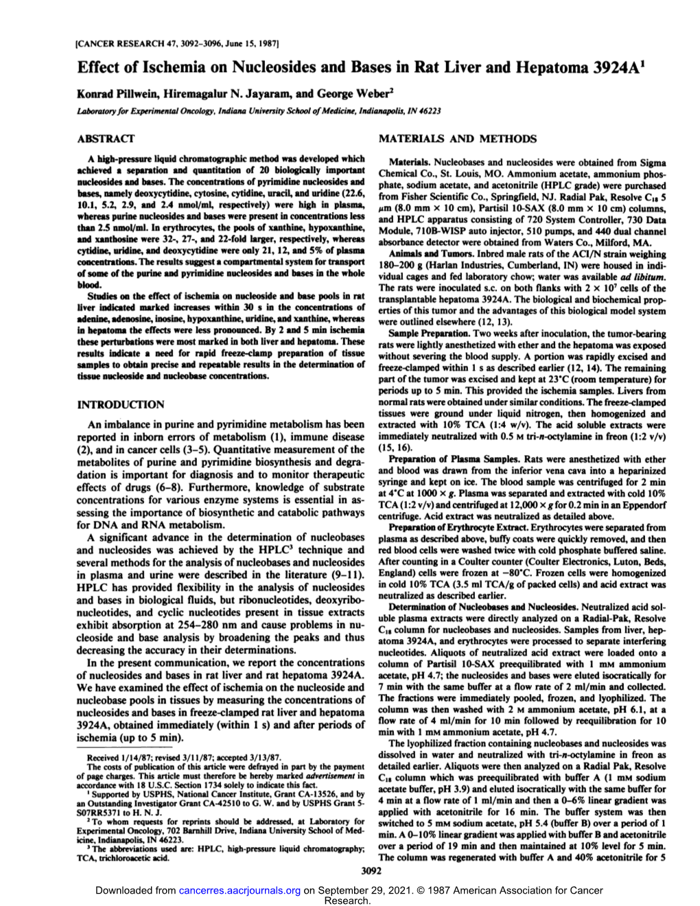 Effect of Ischemia on Nucleosides and Bases in Rat Liver and Hepatoma 3924A1