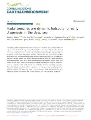 Hadal Trenches Are Dynamic Hotspots for Early Diagenesis in the Deep Sea ✉ Ronnie N