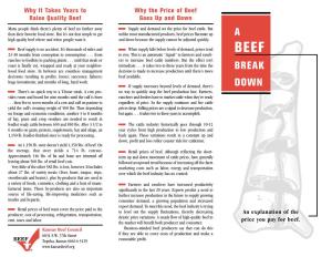 A Beef Break Down