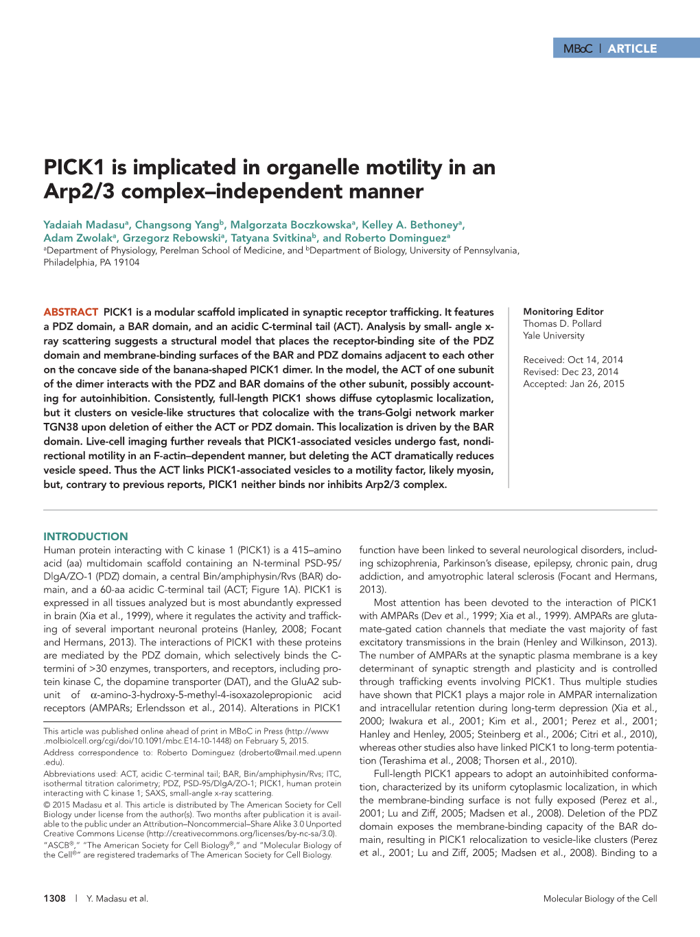 PICK1 Is Implicated in Organelle Motility in an Arp2/3 Complex–Independent Manner