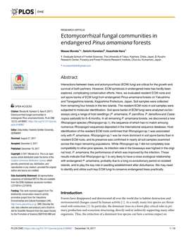 Ectomycorrhizal Fungal Communities in Endangered Pinus Amamiana Forests
