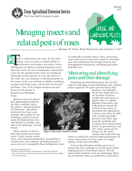 Managing Insects and Related Pests of Roses Bastiaan M