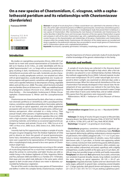 On a New Species of Chaetomidium, C. Vicugnae, with a Cephalothecoid