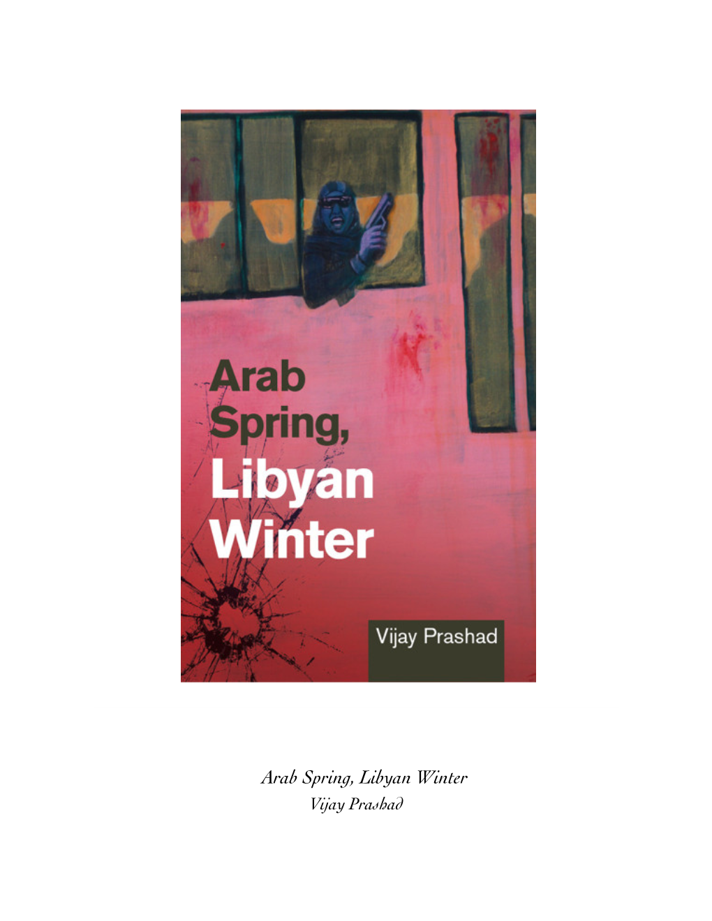 Arab Spring, Libyan Winter Vijay Prashad Remarks