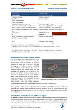 SPECIES INFORMATION SHEET Charadrius Alexandrinus