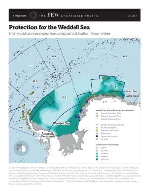 Protection for the Weddell Sea Effort Would Continue Momentum, Safeguard Vital Southern Ocean Waters