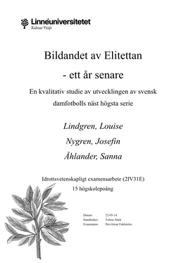 Bildandet Av Elitettan - Ett År Senare