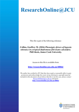 Phenotypic Drivers of Hypoxia Tolerance in a Tropical Diadromous Fish (Lates Calcarifer)