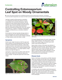 Controlling Entomosporium Leaf Spot on Woody Ornamentals