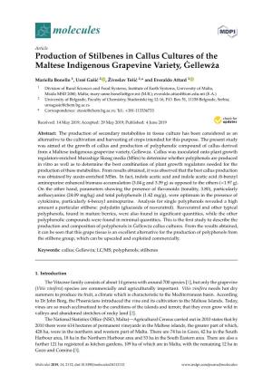 Production of Stilbenes in Callus Cultures of the Maltese Indigenous Grapevine Variety, Gellew˙Za˙