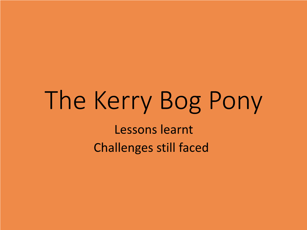 The Kerry Bog Pony Lessons Learnt Challenges Still Faced What Is a Kerry Bog Pony?