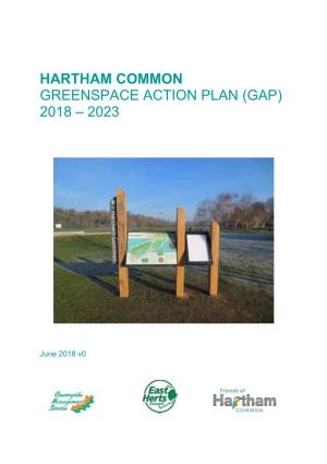 Hartham Common GAP 2018-23 Full Doc with Maps FINAL