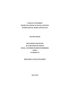 Çankaya University Graduate School of Social Sciences International Trade and Finance Master Thesis the Export Strategies Of