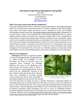 Early Season Grape Disease Management, Spring 2020 Katie Gold Assistant Professor, Cornell University Cornell Agritech Geneva, NY 14456 Kg557@Cornell.Edu