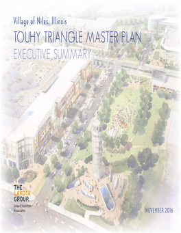 Touhy Triangle Master Plan Executive Summary