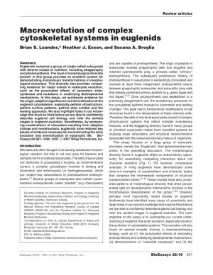 Macroevolution of Complex Cytoskeletal Systems in Euglenids Brian S