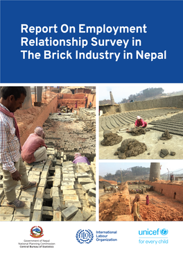 Report on Employment Relationship Survey in the Brick Industry in Nepal