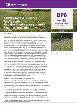 Lowland Calcareous Grassland Creation And