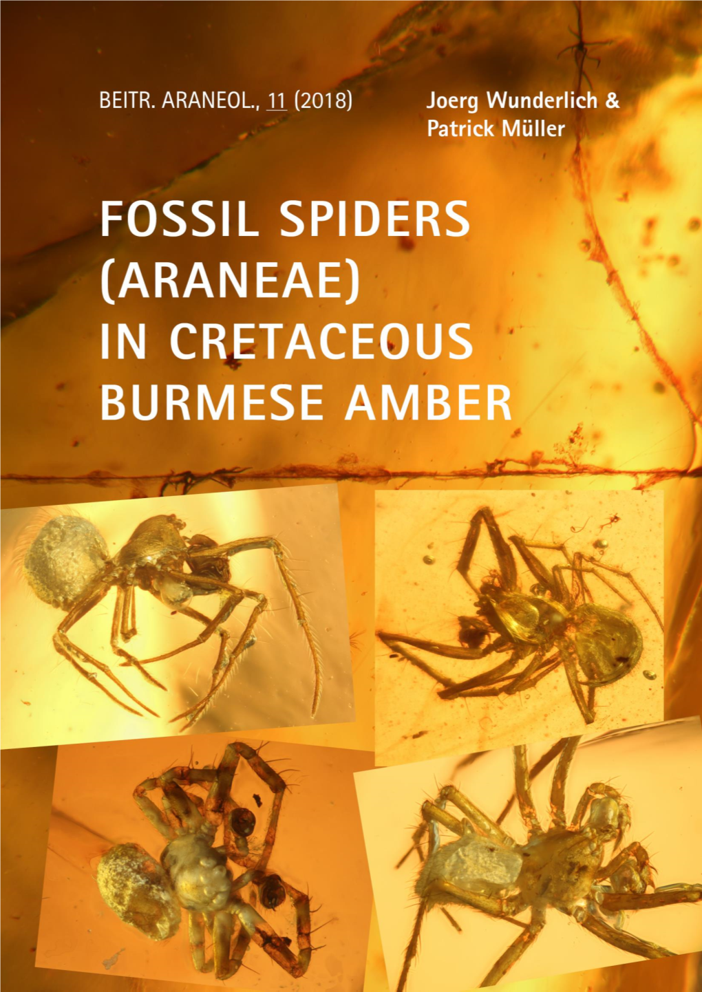 In Cretaceous Burmese Amber