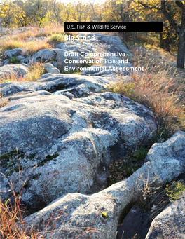 Big Stone National Wildlife Refuge Draft Comprehensive Conservation Plan and Environmental Assessment