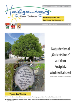 Naturdenkmal „Gerichtslinde“ Auf Dem Postplatz Wird Revitalisiert (Siehe Rubrik „Das Rathaus Informiert“)