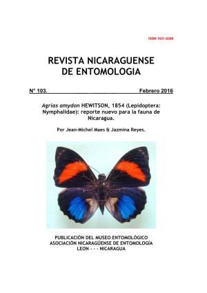 Agrias Amydon HEWITSON, 1854 (Lepidoptera: Nymphalidae): Reporte Nuevo Para La Fauna De Nicaragua