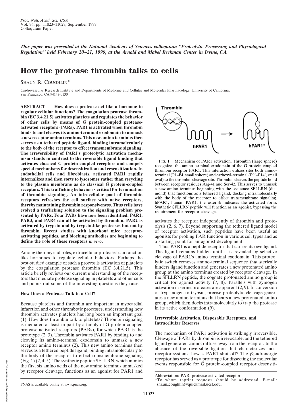 How the Protease Thrombin Talks to Cells
