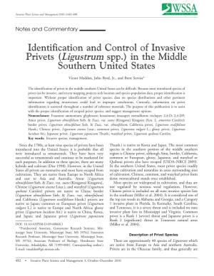 Identification and Control of Invasive Privets (Ligustrum Spp.) in the Middle Southern United States