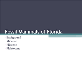 Fossil Mammals of Florida •Background •Miocene •Pliocene •Pleistocene Background • During the Break up of Pangea, Florida Left Africa and Joined N